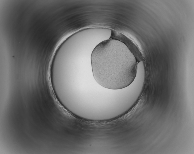 X0000086890952200705141620