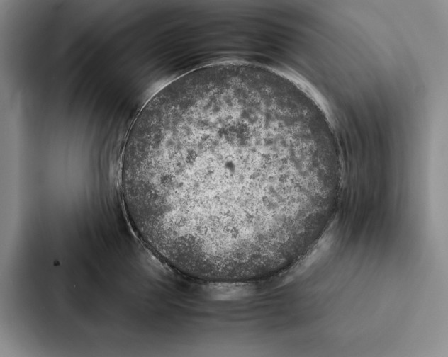 X0000086890953200705141620