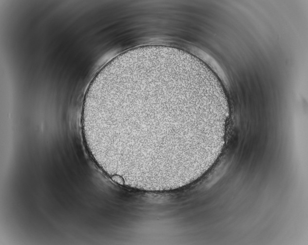 X0000086890954200705141620