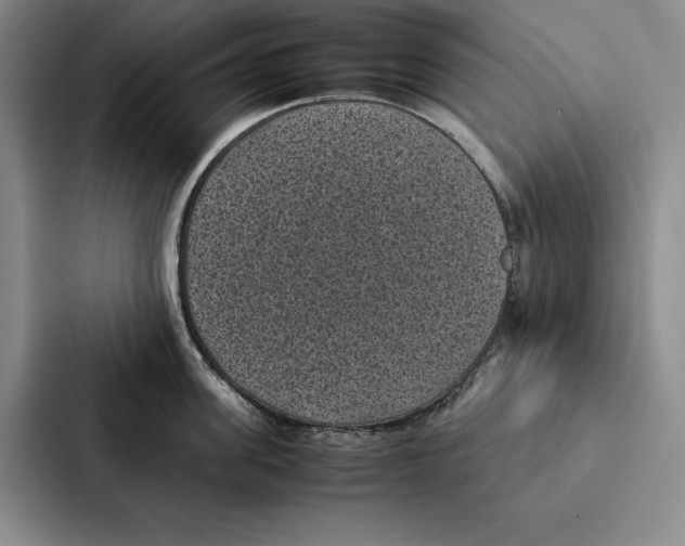 X0000086890955200705141620