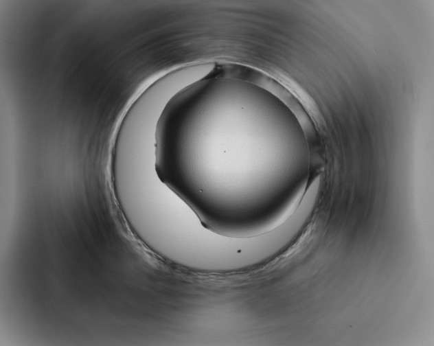 X0000086890956200705141620