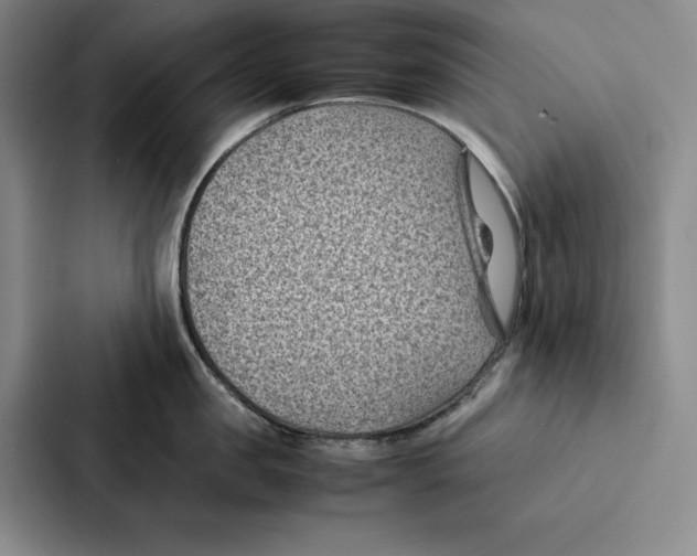 X0000086890957200705141620