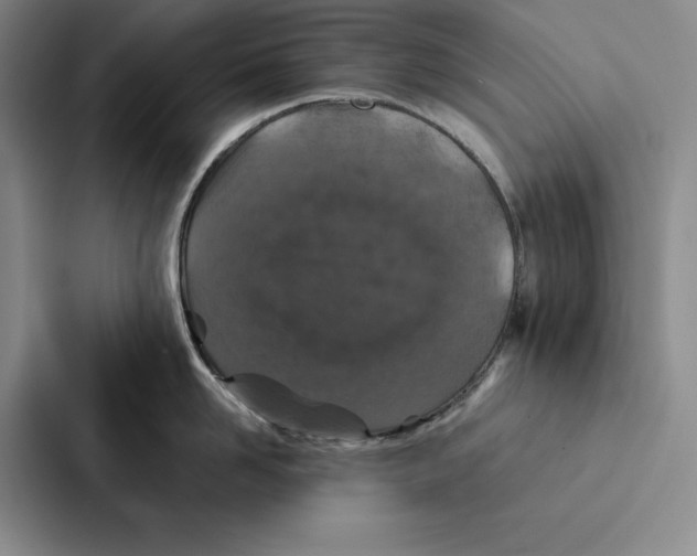 X0000086890958200705141620