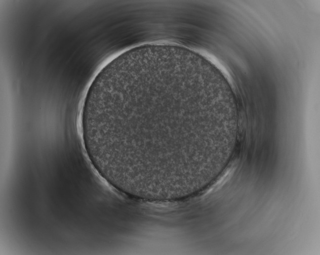 X0000086890959200705141620