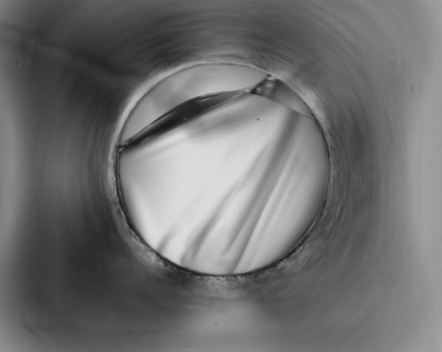 X0000086890960200705141620