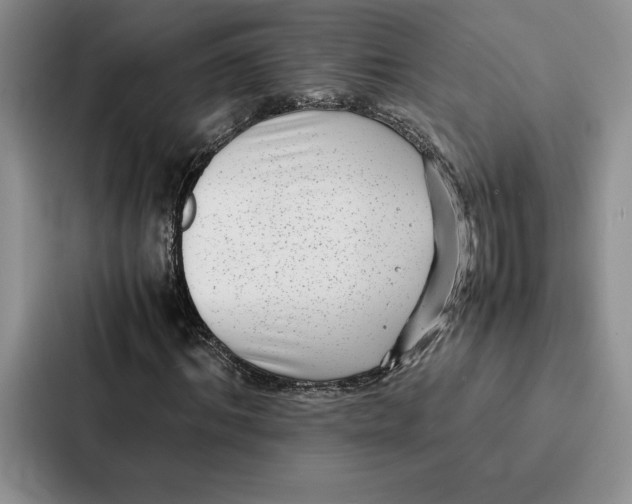 X0000086890964200705141619