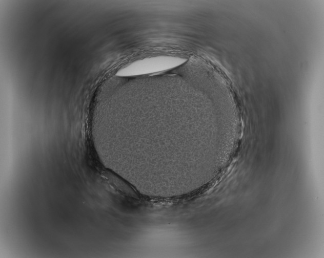 X0000086890965200705141619