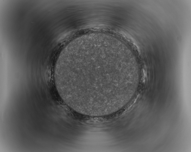 X0000086890966200705141619