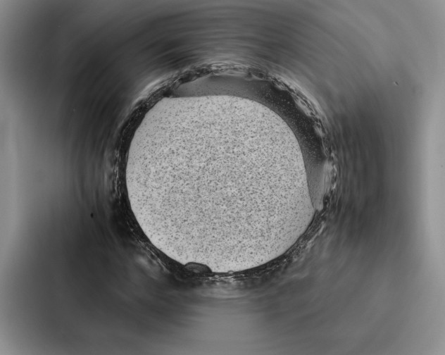 X0000086890968200705141619