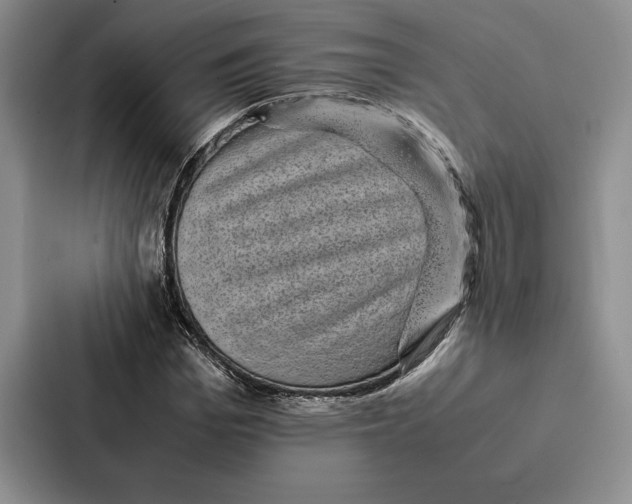 X0000086890969200705141619