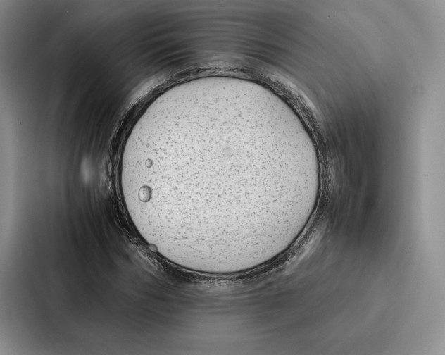 X0000086890970200705141619