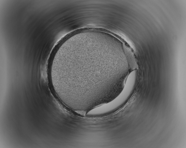 X0000086890972200705141619