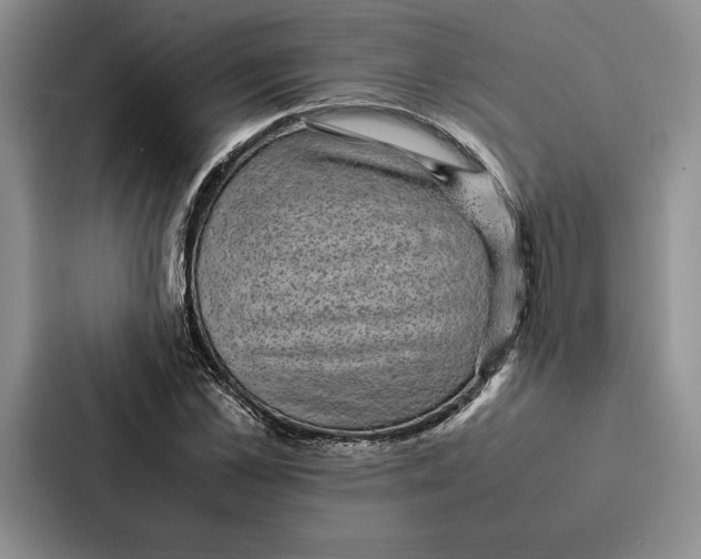 X0000086890973200705141619