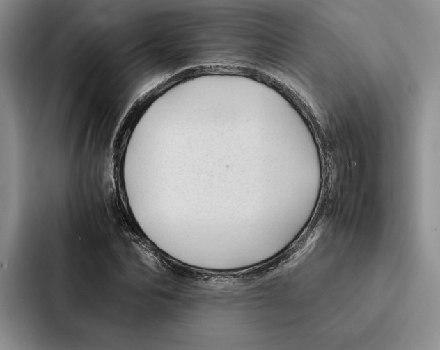 X0000086890974200705141619