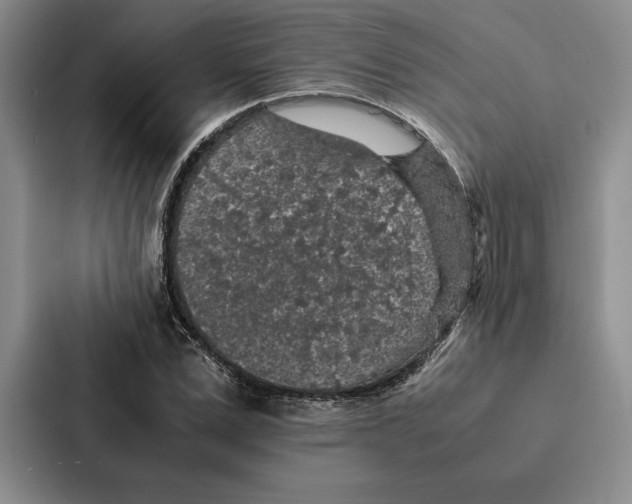 X0000086890975200705141619