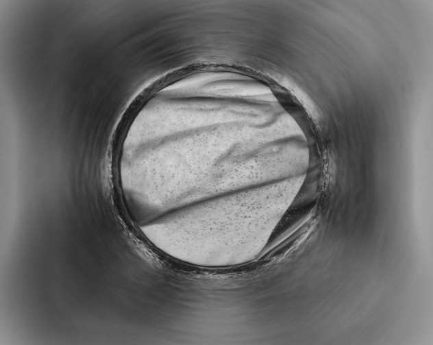 X0000086890976200705141619