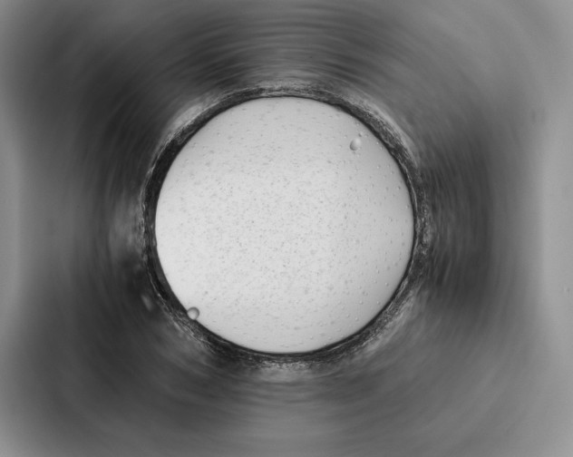 X0000086890978200705141619