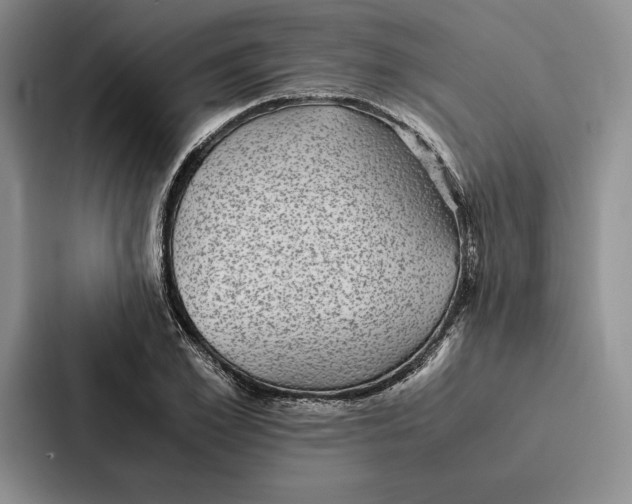 X0000086890981200705141619