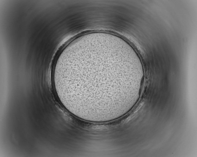 X0000086890982200705141619