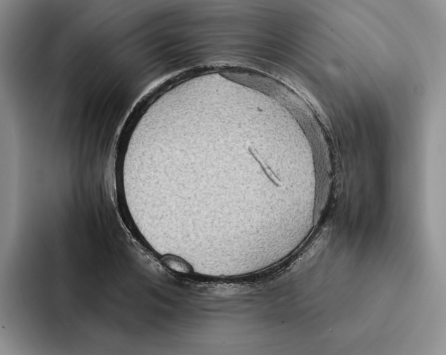 X0000086890984200705141619