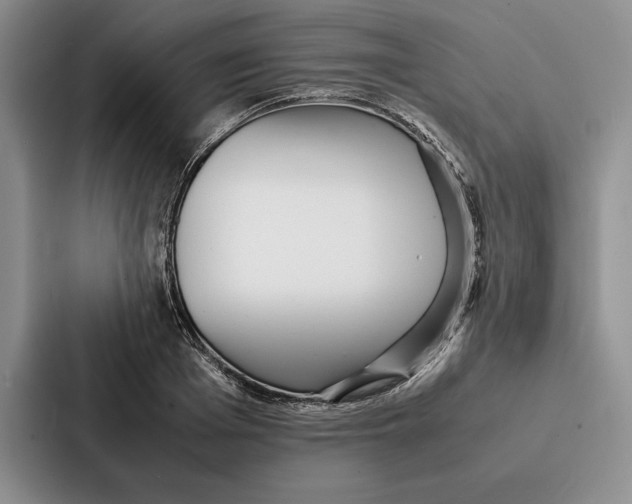 X0000086890985200705141619