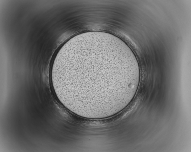 X0000086890986200705141619