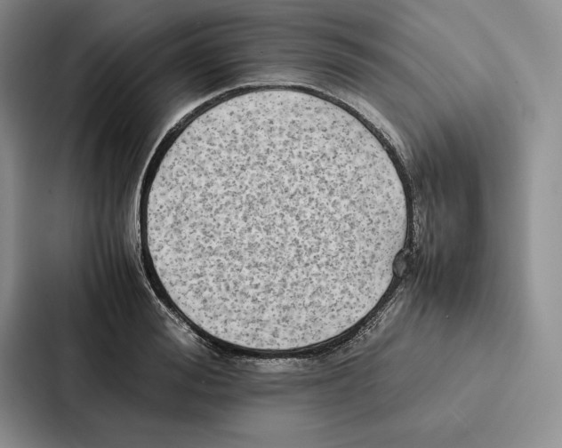 X0000086890988200705141619