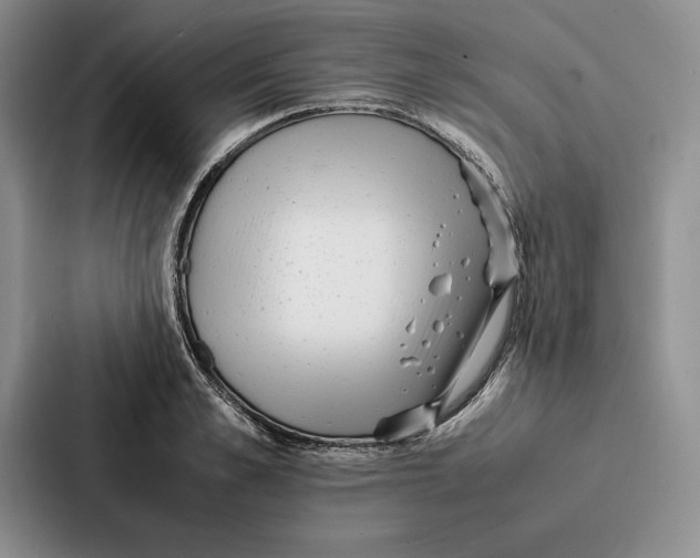 X0000086890989200705141619