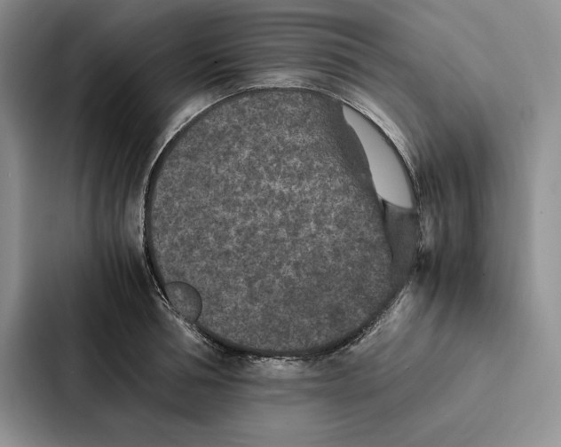 X0000086890994200705141619