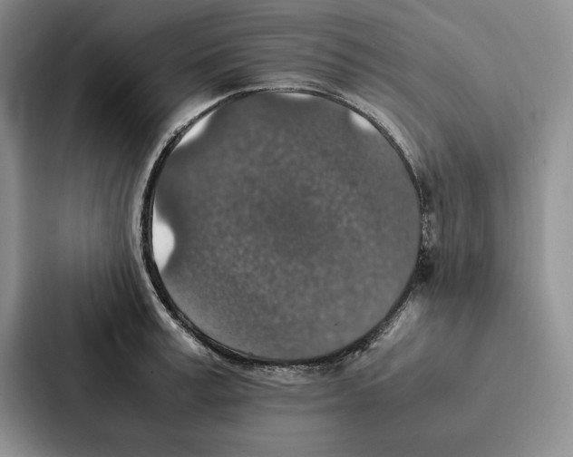 X0000086890995200705141619