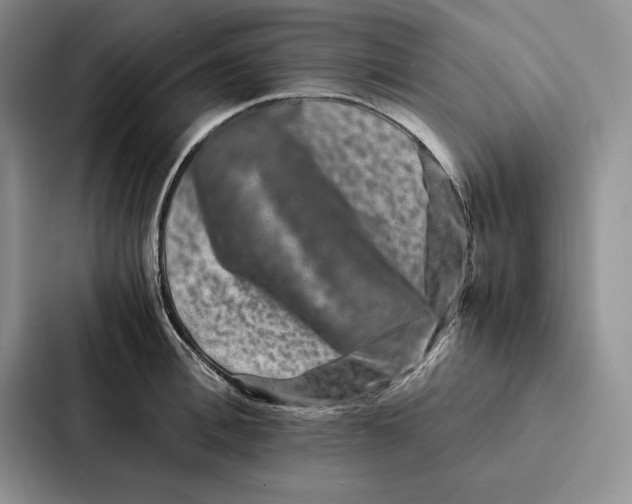 X0000086890996200705141619