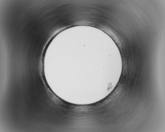 X0000086891000200705141619