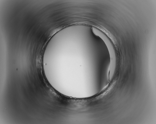 X0000086891001200705141619