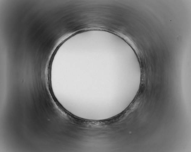 X0000086891003200705141619