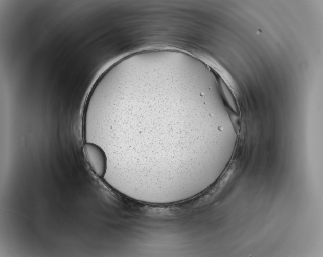 X0000086891004200705141619