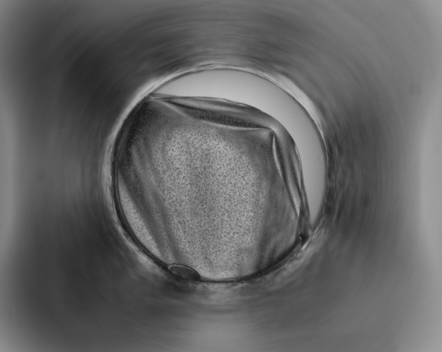 X0000086891005200705141619