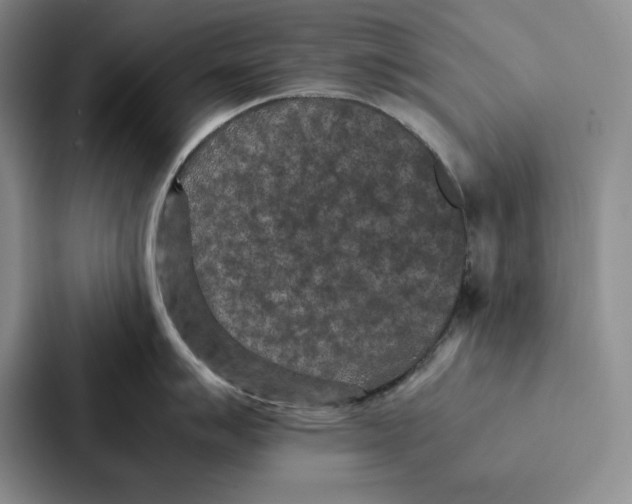 X0000086891007200705141619