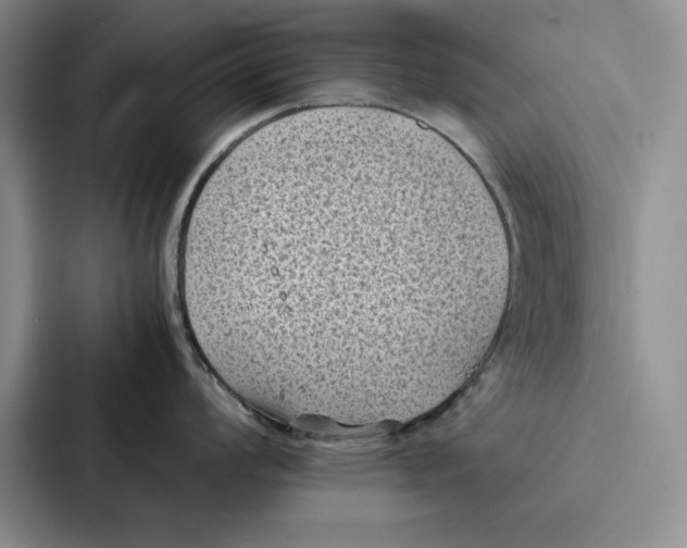 X0000086891008200705141619