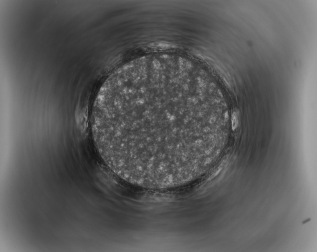 X0000086891011200705141618