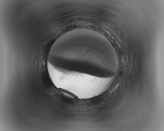 X0000086891013200705141618