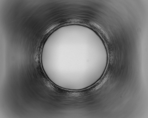 X0000086891017200705141618