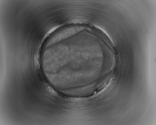 X0000086891018200705141618