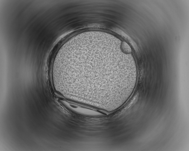 X0000086891019200705141618