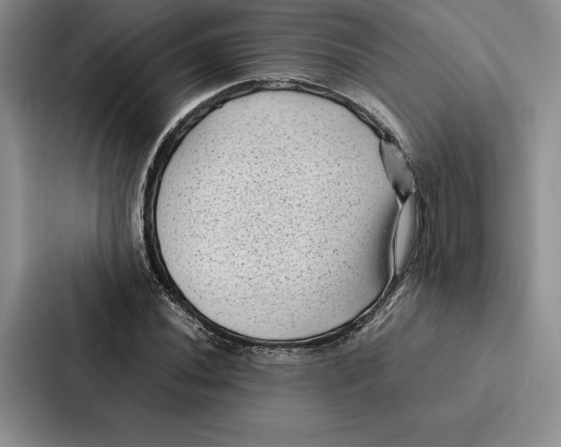 X0000086891020200705141618