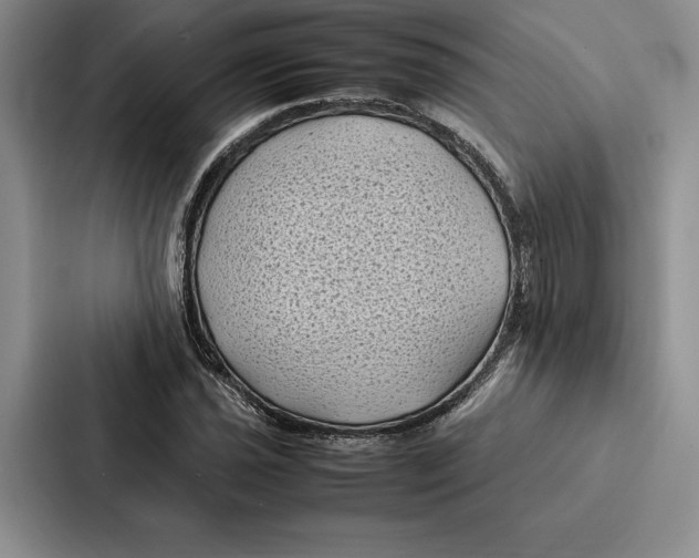 X0000086891021200705141618