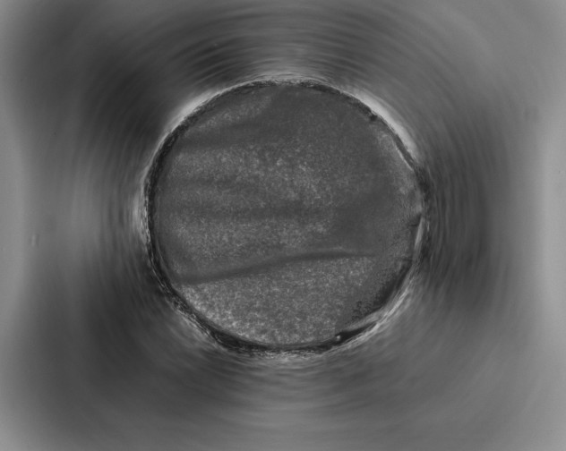 X0000086891022200705141618