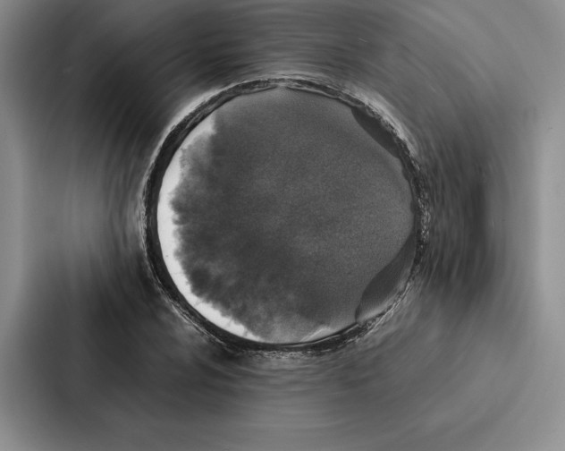 X0000086891024200705141618