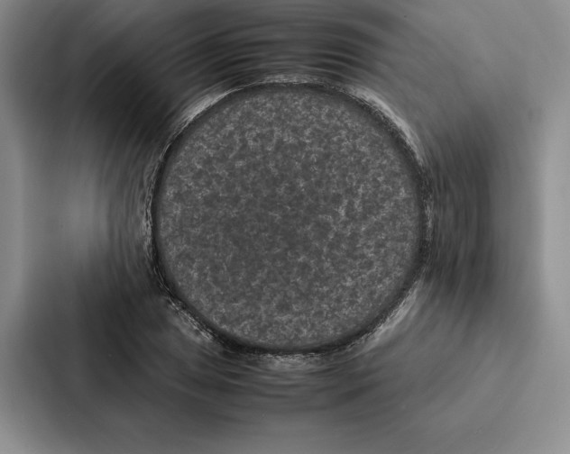 X0000086891025200705141618