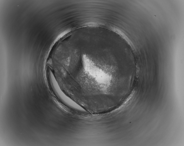 X0000086891026200705141618