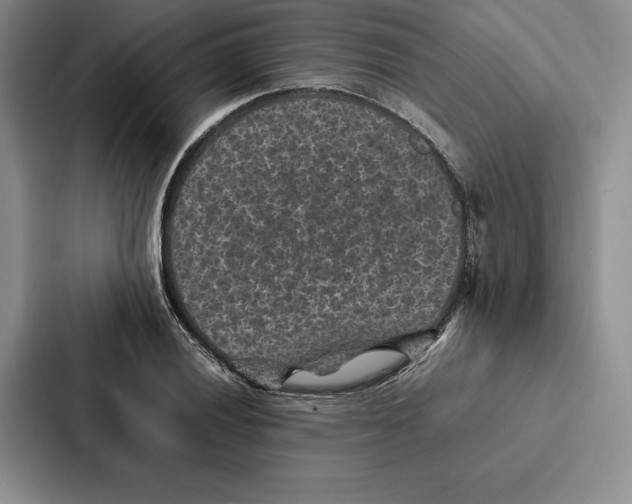 X0000086891028200705141618